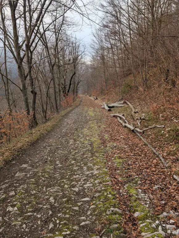 Alte Steige Gosbach