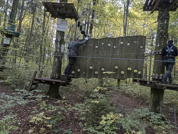 Zwei Teilnehmer in Kletterausrüstung überqueren in einem Hochseilgarten einen Parcours, der aus einer hölzernen Kletterwand zwischen zwei Baumplattformen besteht.